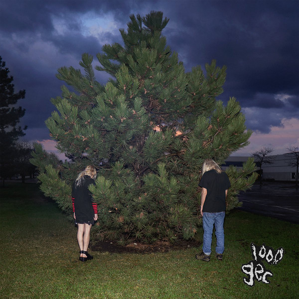 cover of 1000 gecs